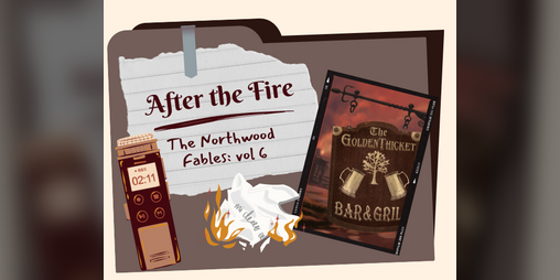 Cover image for After the Fire