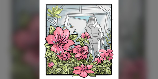 Cover image for The Beekeeper's Due