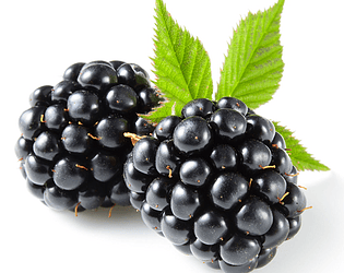 Blackberry is weird berries