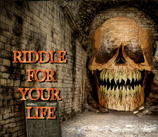 Cover image for Riddle for your Life