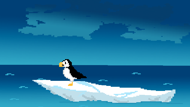 A Puffin's Stroll