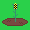Grow your Plants!