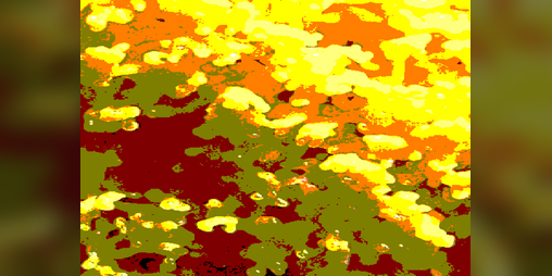 Cover image for SPEW