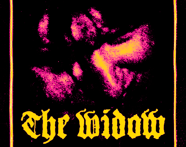 Cover image for The Widow