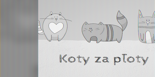 Cover image for Koty za płoty