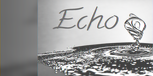Cover image for Echo