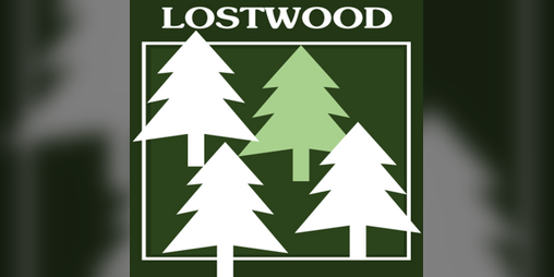 Cover image for Lostwood