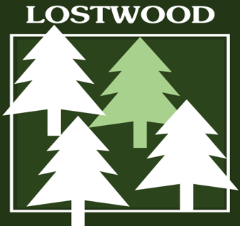 Cover image for Lostwood
