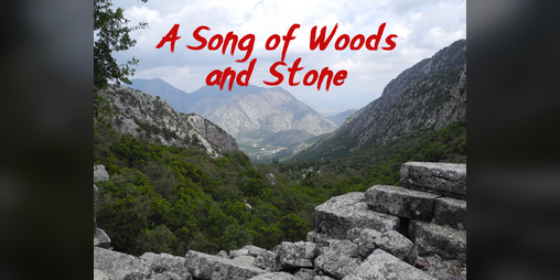 Cover image for A Song of Woods and Stone