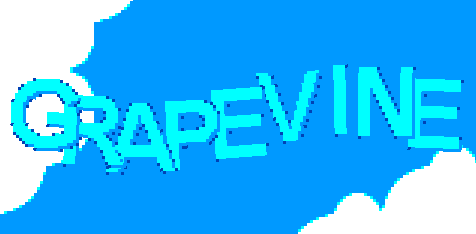 Grapevine