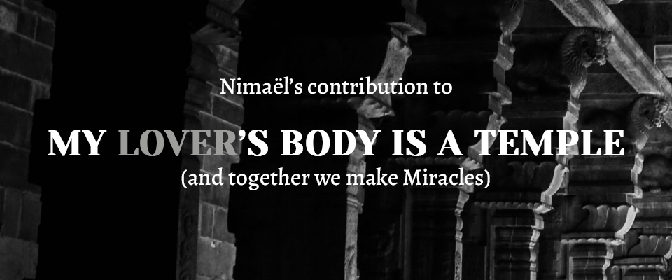 Nimaël's Contribution