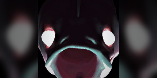Cover image for Fish