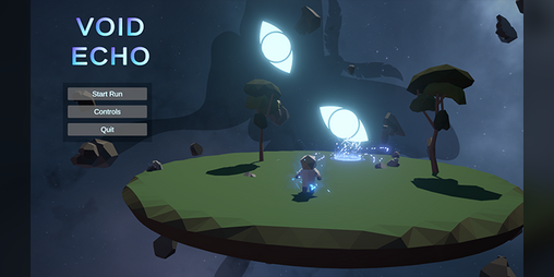 Cover image for Void Echo