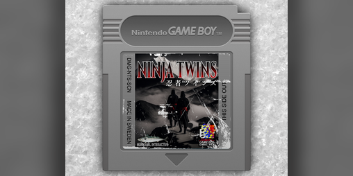 Cover image for Ninja Twins