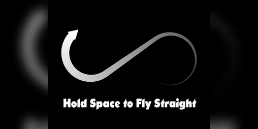 Cover image for Hold Space to Fly Straight