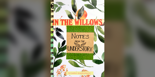 Cover image for In the Willows: Notes from the Understory (Collage Zine)