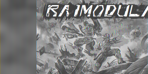 Cover image for Raimodula