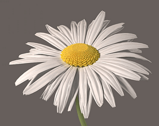 Desert's flower
