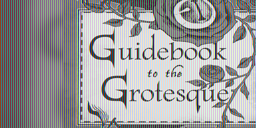 Cover image for Guidebook to the Grotesque