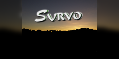Cover image for Survo