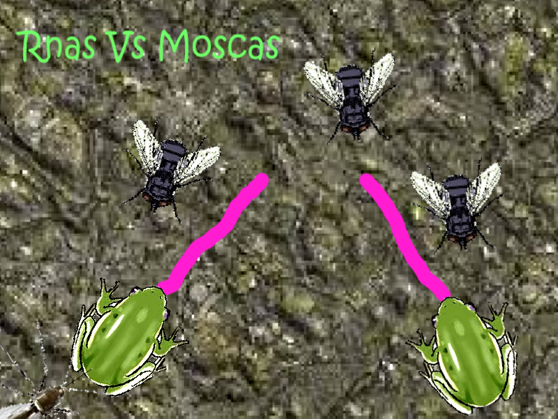 Rnas Vs Moscas