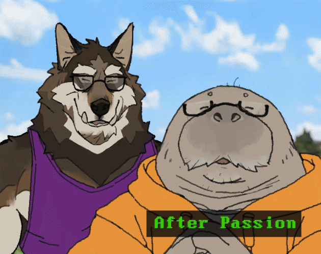 Cover image for After Passion