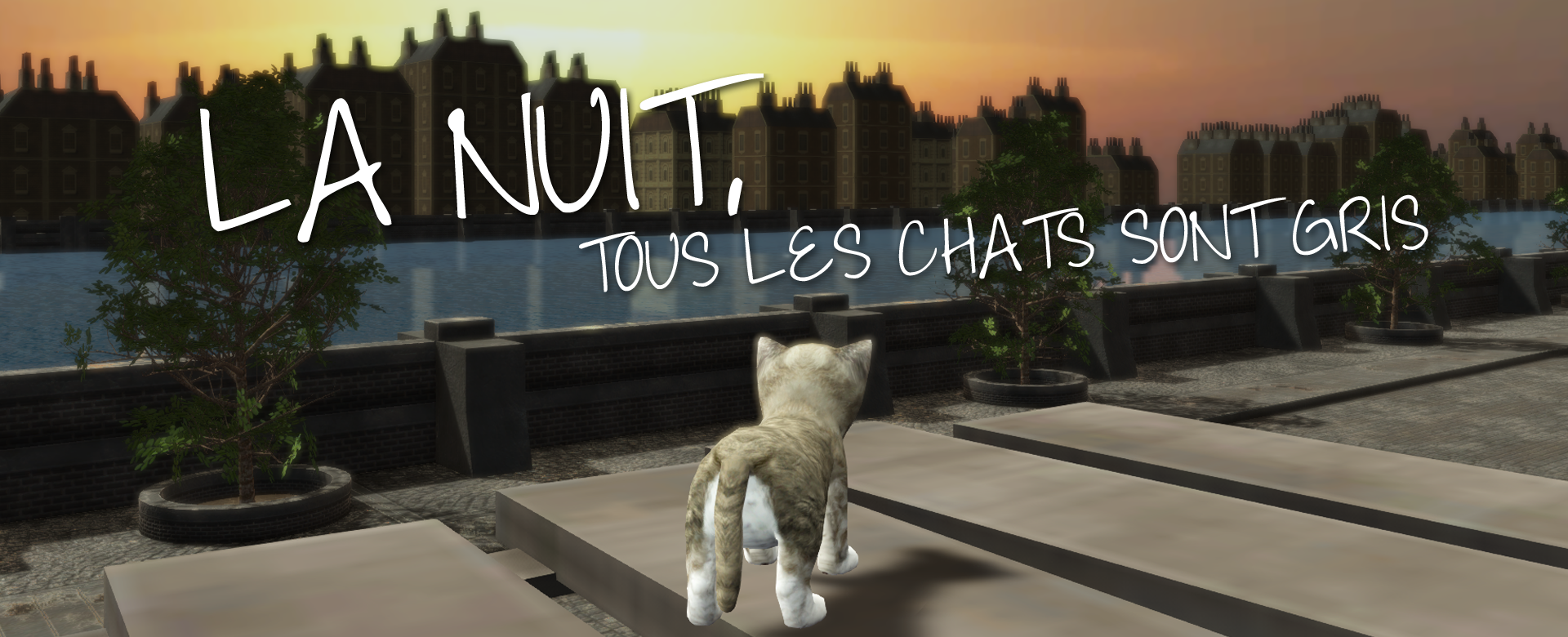 La nuit, tous les chats sont gris