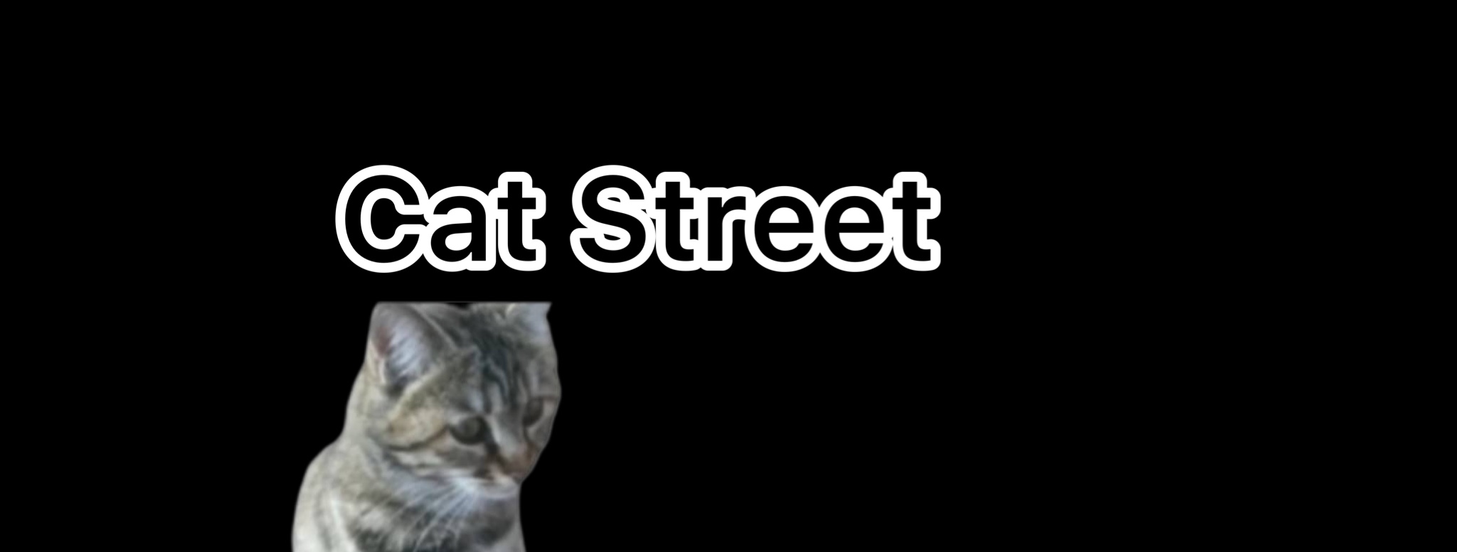 Cat Street