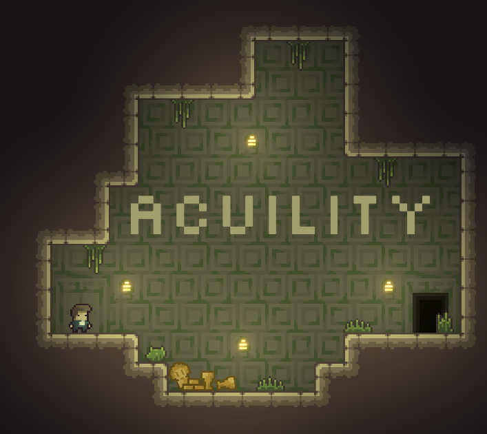 Cover image for Acuility