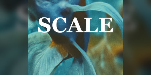 Cover image for Scale