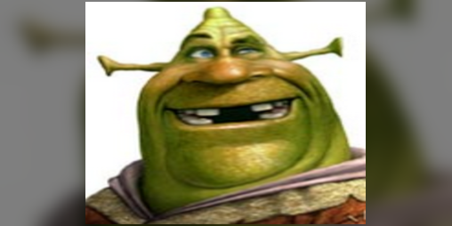 Cover image for shrek's lost twin brother