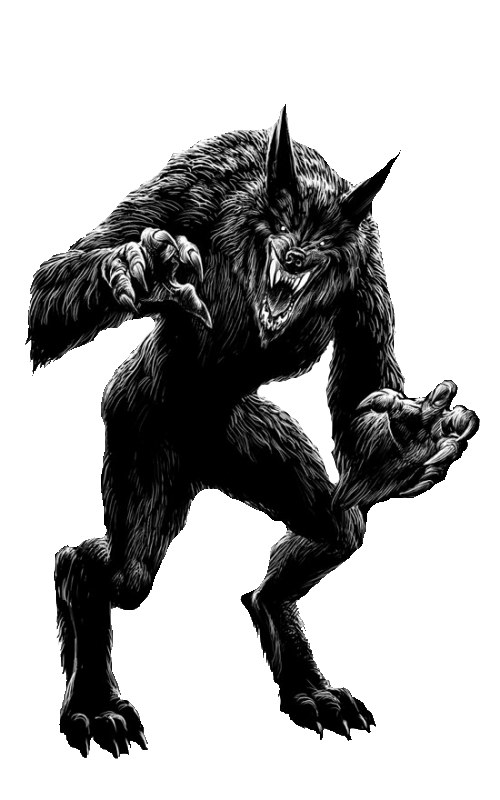 Horror Camp