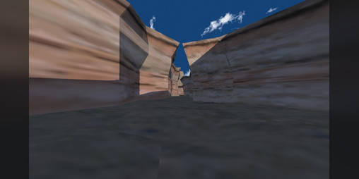 Cover image for FUCKERS' CANYON