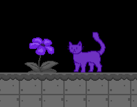 Cover image for ColorCat