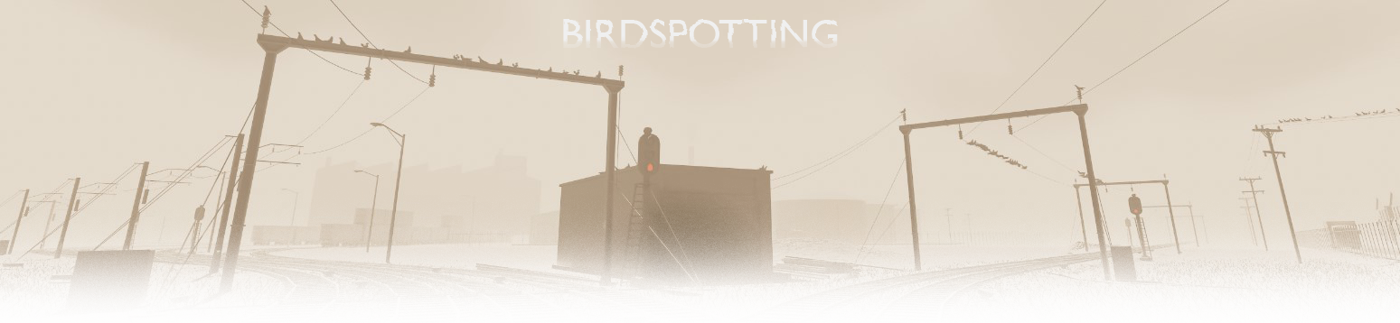 Birdspotting
