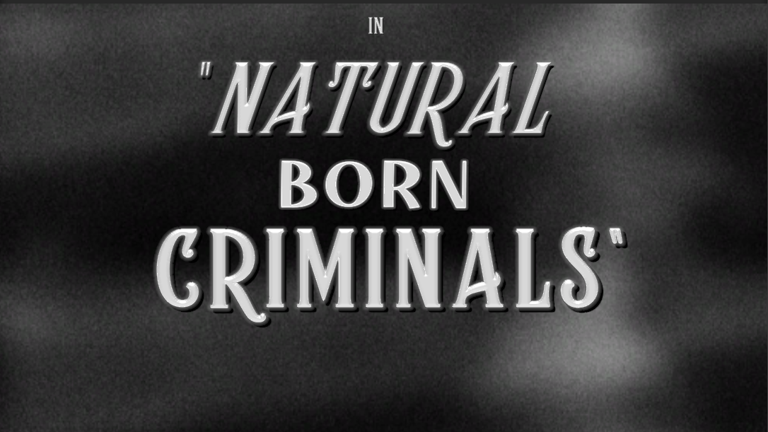 Cover image for Natural Born Criminals