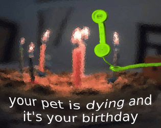 your pet is dying and it's your birthday  