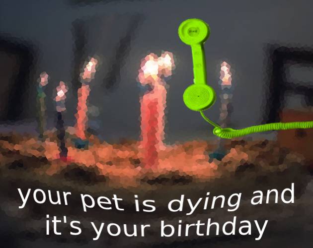 your pet is dying and it's your birthday