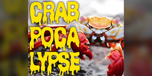 Cover image for Crabpocalypse