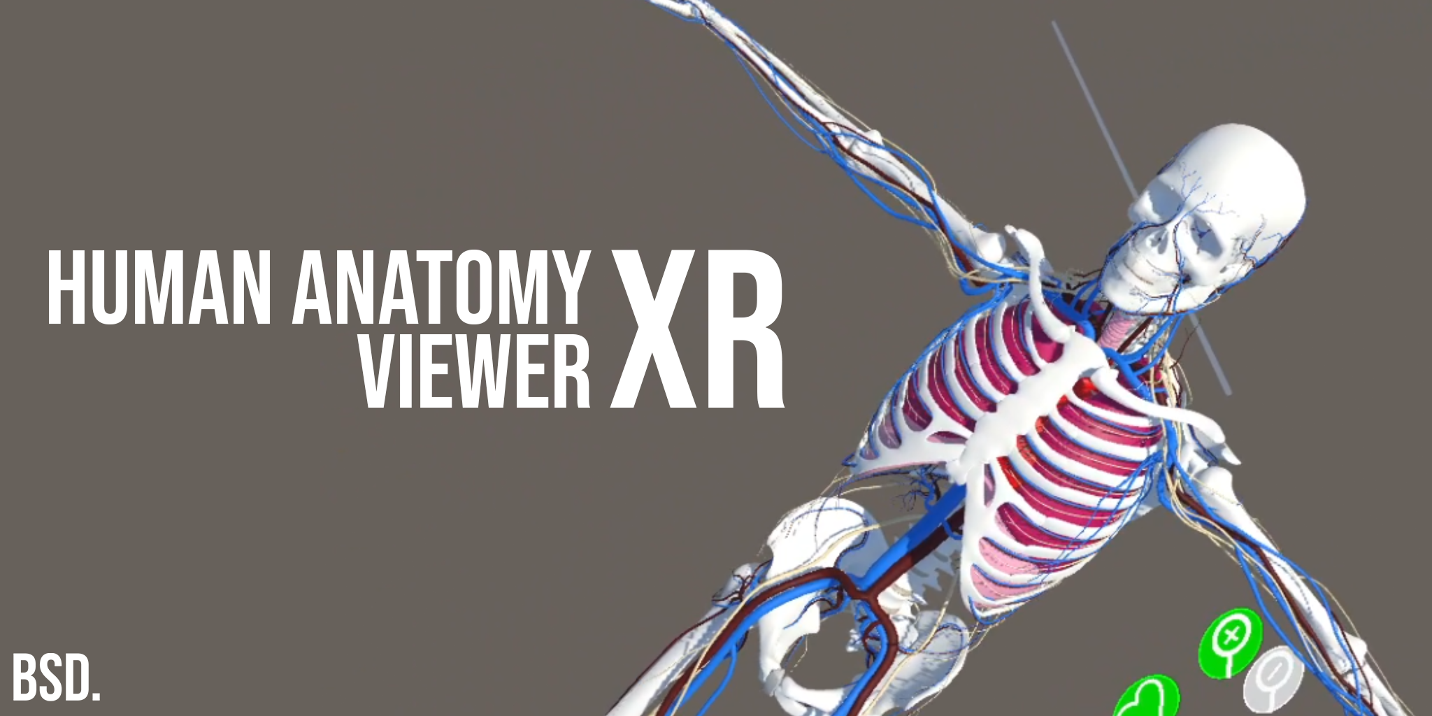 Human Anatomy Viewer XR