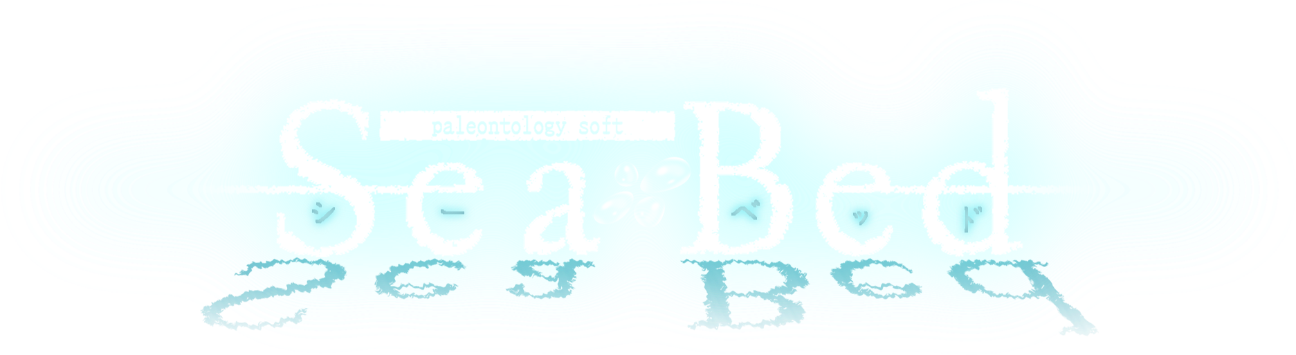 paleontorogy soft / Sea Bed シーベッド paleontorogy soft / Sea Bed シーベッド Searching for 'SeaBed'
