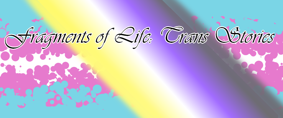 Fragments of Life: Trans Stories