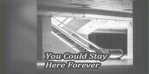 Cover image for You Could Stay Here Forever