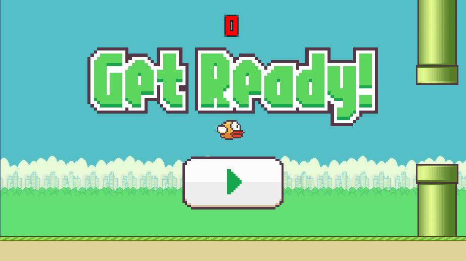Leap of the bird