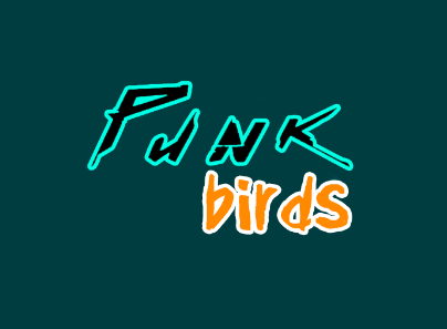 Cover image for Punk Birds