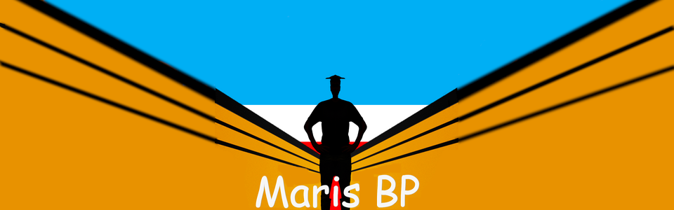 Maris Belgisch Park: the game