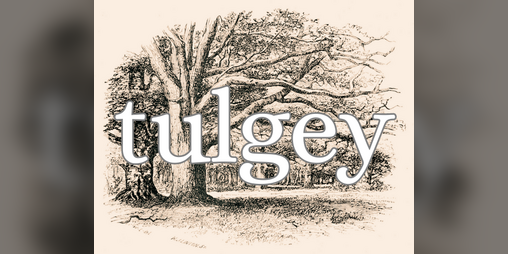 Cover image for tulgey