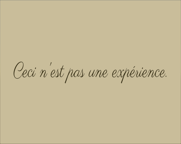 Cover image for Magritte Experience