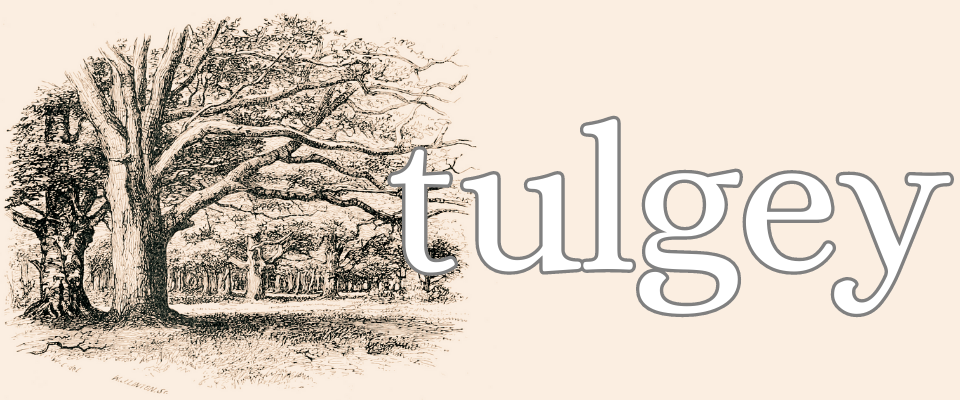 Tulgey by Unclevova