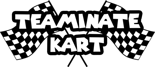 Teaminate Kart